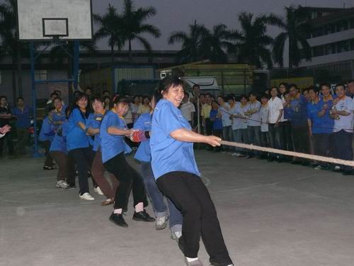 20090506154419240