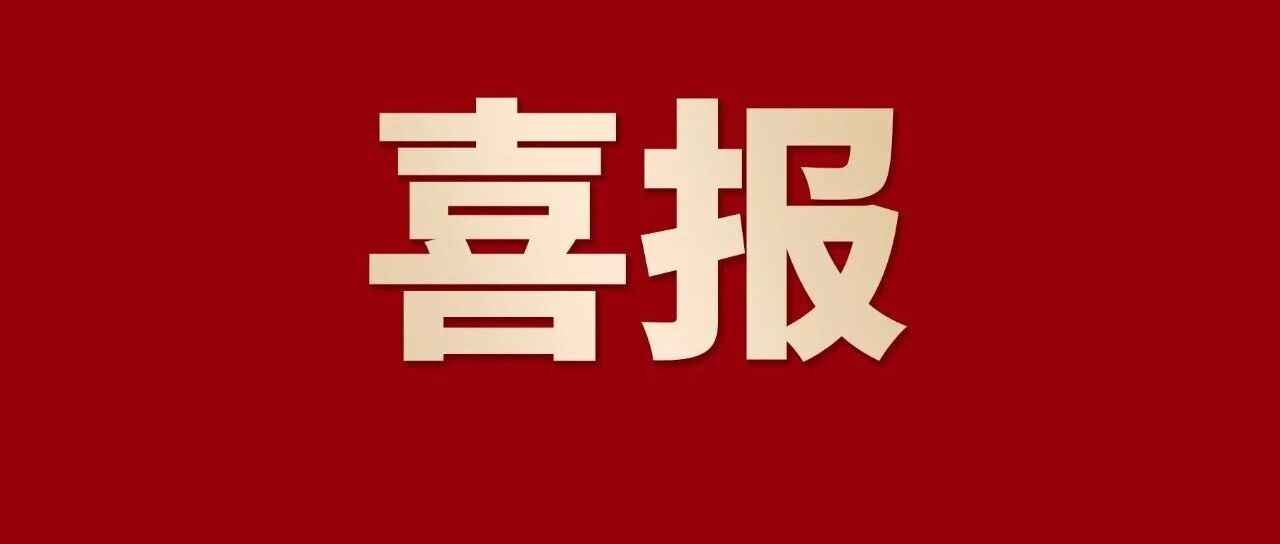 喜报 | NG28集团蝉联拉萨企业100强、造作业100强、民企100强，三大榜单！