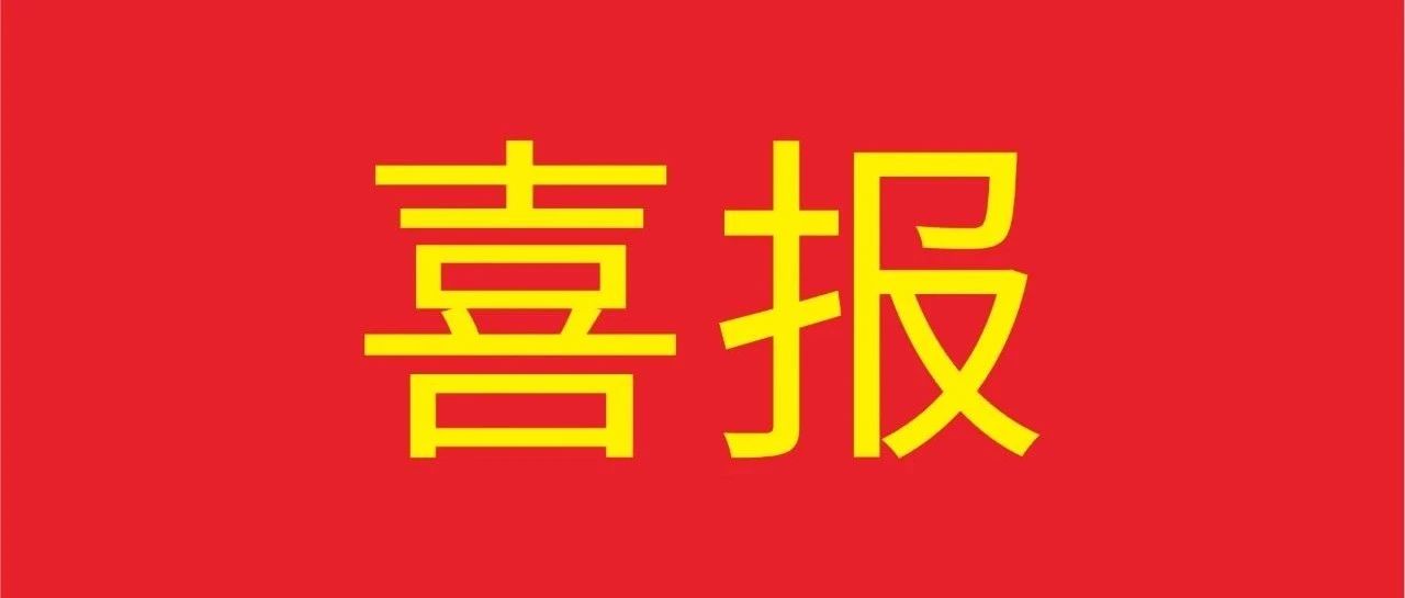 喜报 | NG28集团荣获《狮山经济发展凸起贡献企业》多项殊荣！