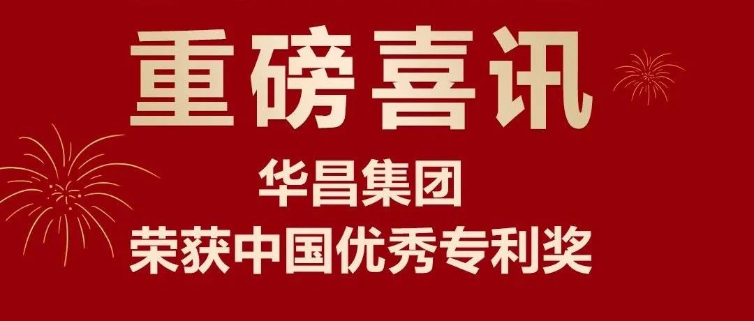 沉磅喜讯 | NG28集团荣获中国专利优良奖